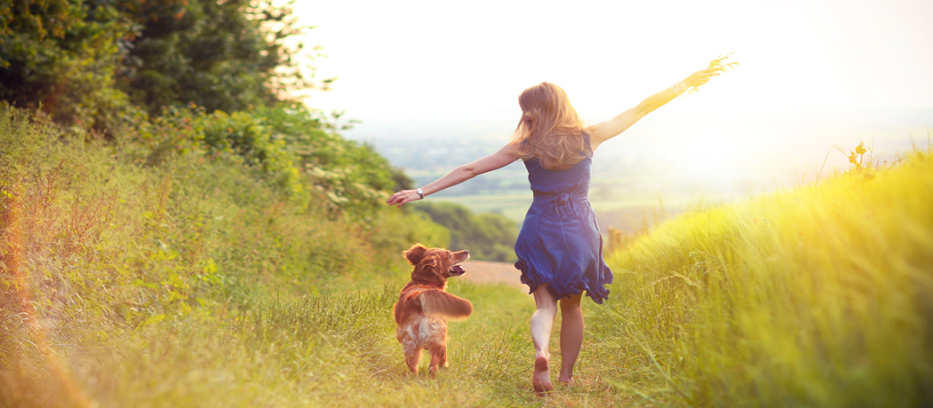 Vastu For Happiness